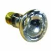 AP791081 | 100W Amprod Spa Bulb -pool supplies sale AP791081 AP791081 236814 ap791081 67682 uid205901 37