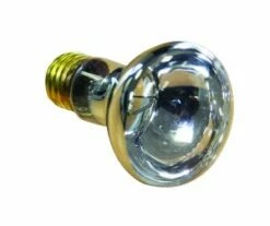 AP791081 | 100W Amprod Spa Bulb