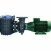BPG753 | 7.5hp (5.6kw) - 3Ø Commercial Giant Pump - 400/690v -pool supplies sale BPG753 BPG753 260076 BPG403 19