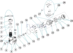 HGS151SM | 1.5HP (1.1kW) Pump, 1 Phase, 220 Volt, 2” Suction & Delivery